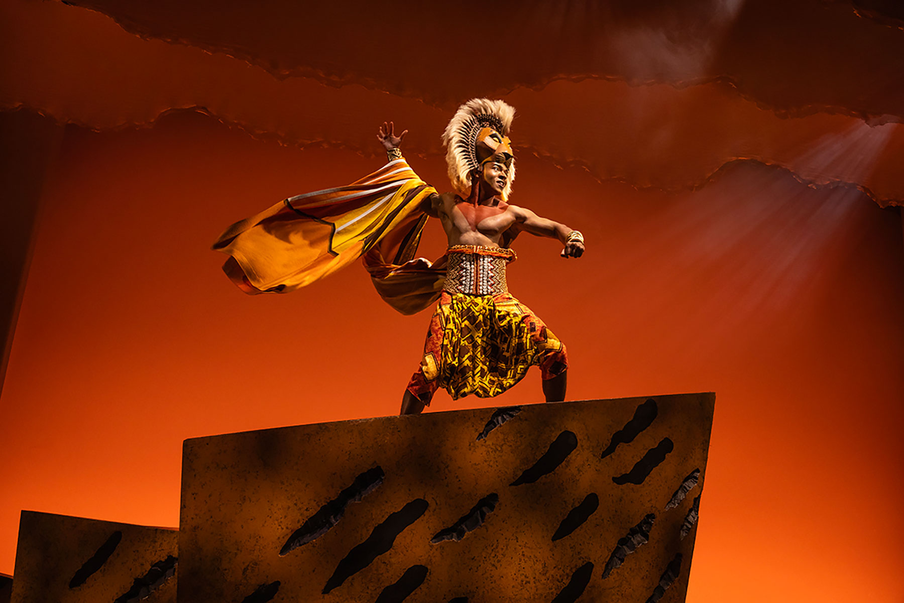 Erick D. Patrick as Simba in Disney's The Lion King